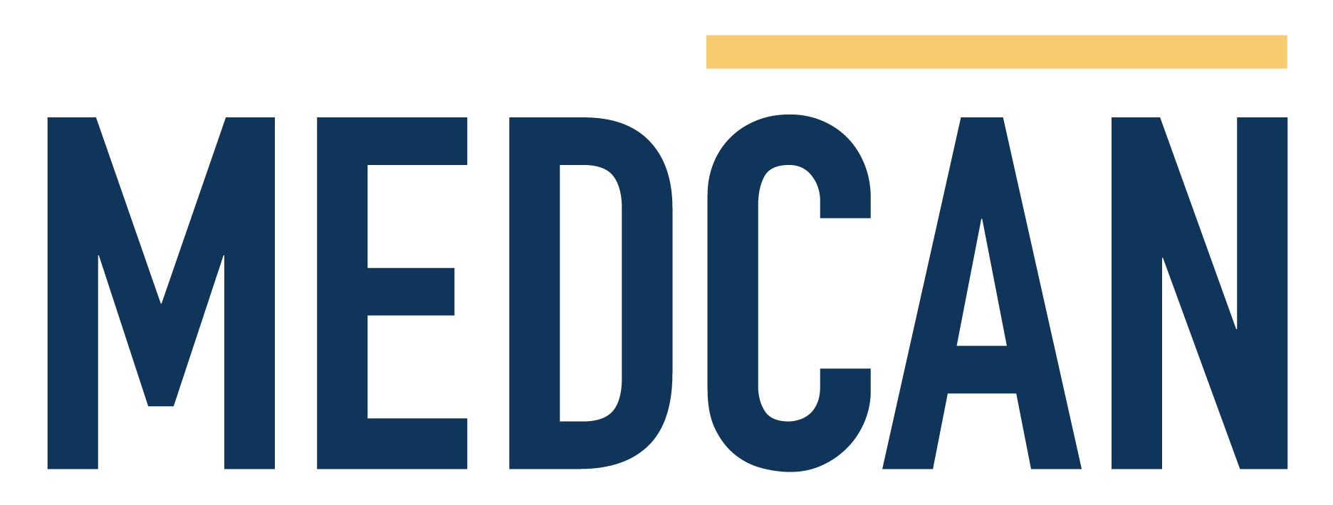 logo ceoglobalnetwork-logo